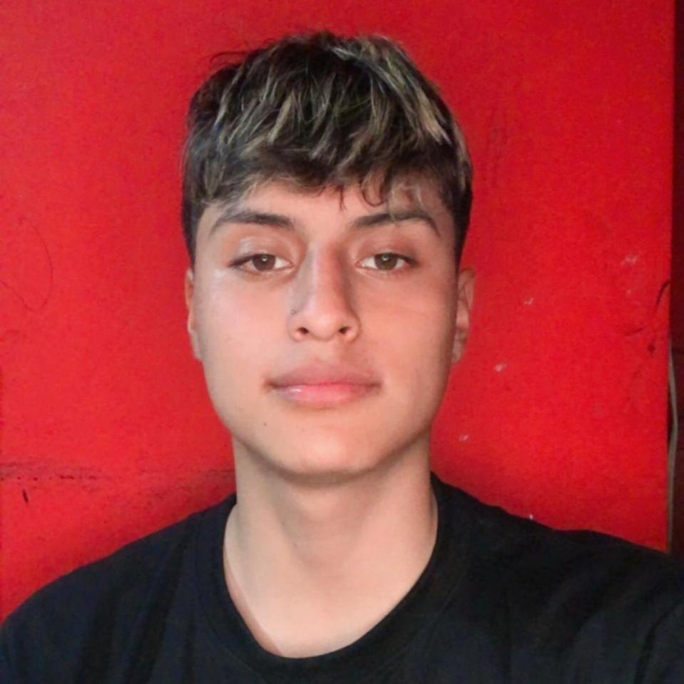 User Image