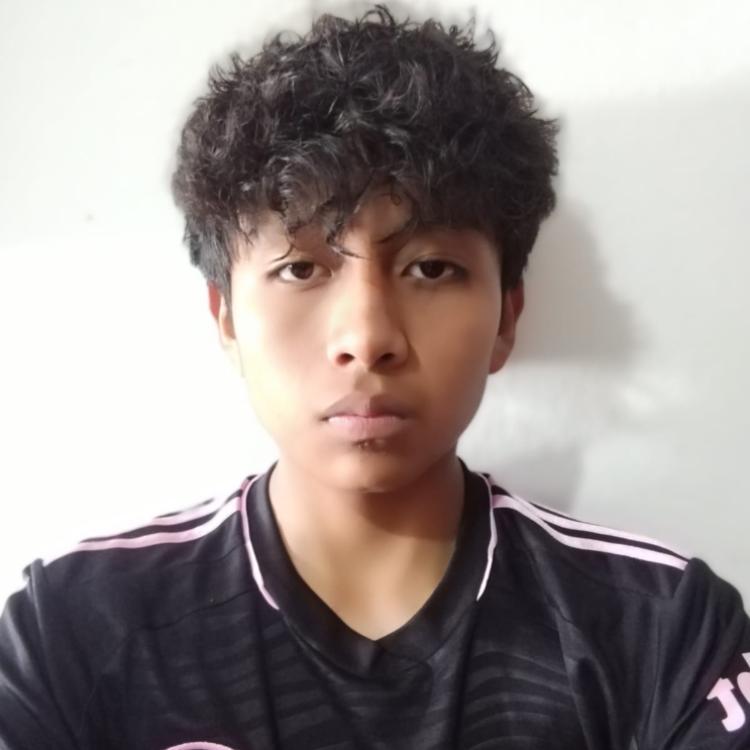 User Image
